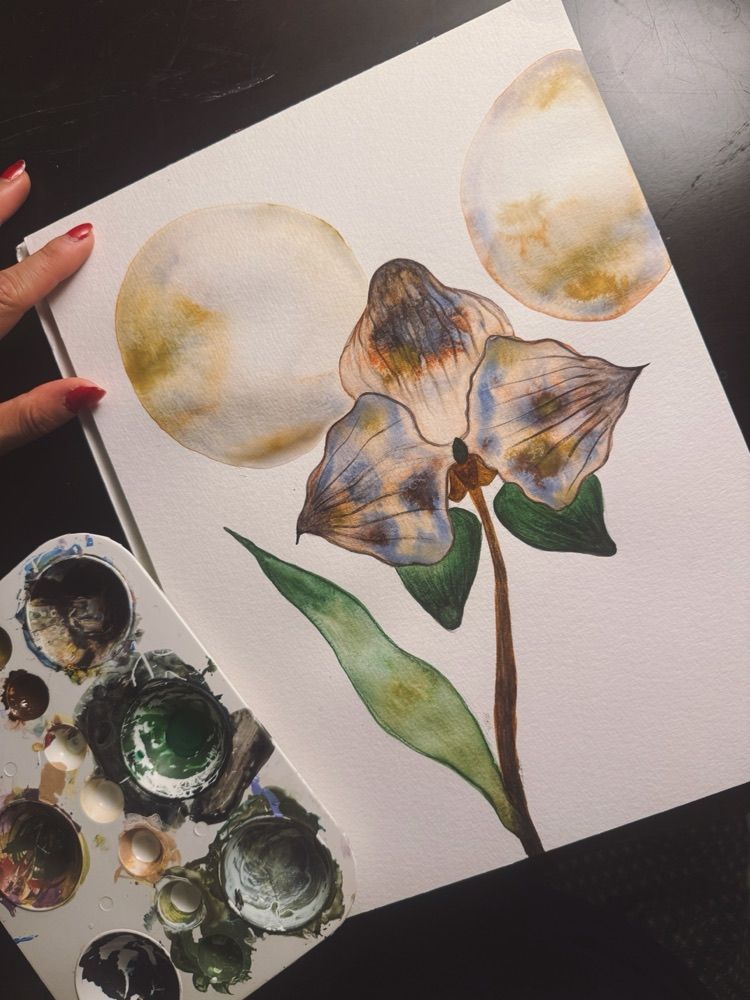 A watercolour orchid I painted